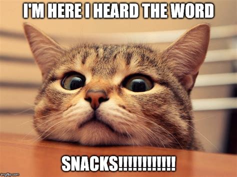 funny snack memes